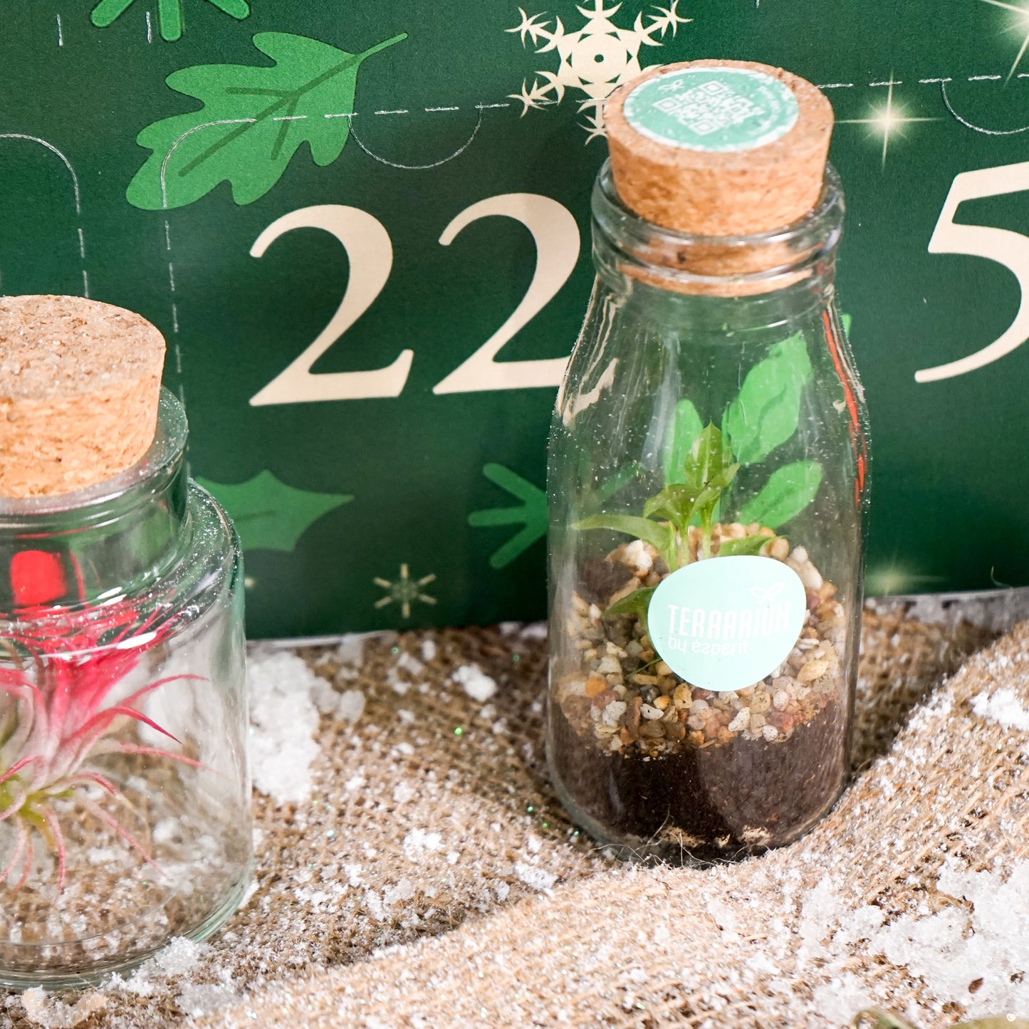 Plantvent Calendar