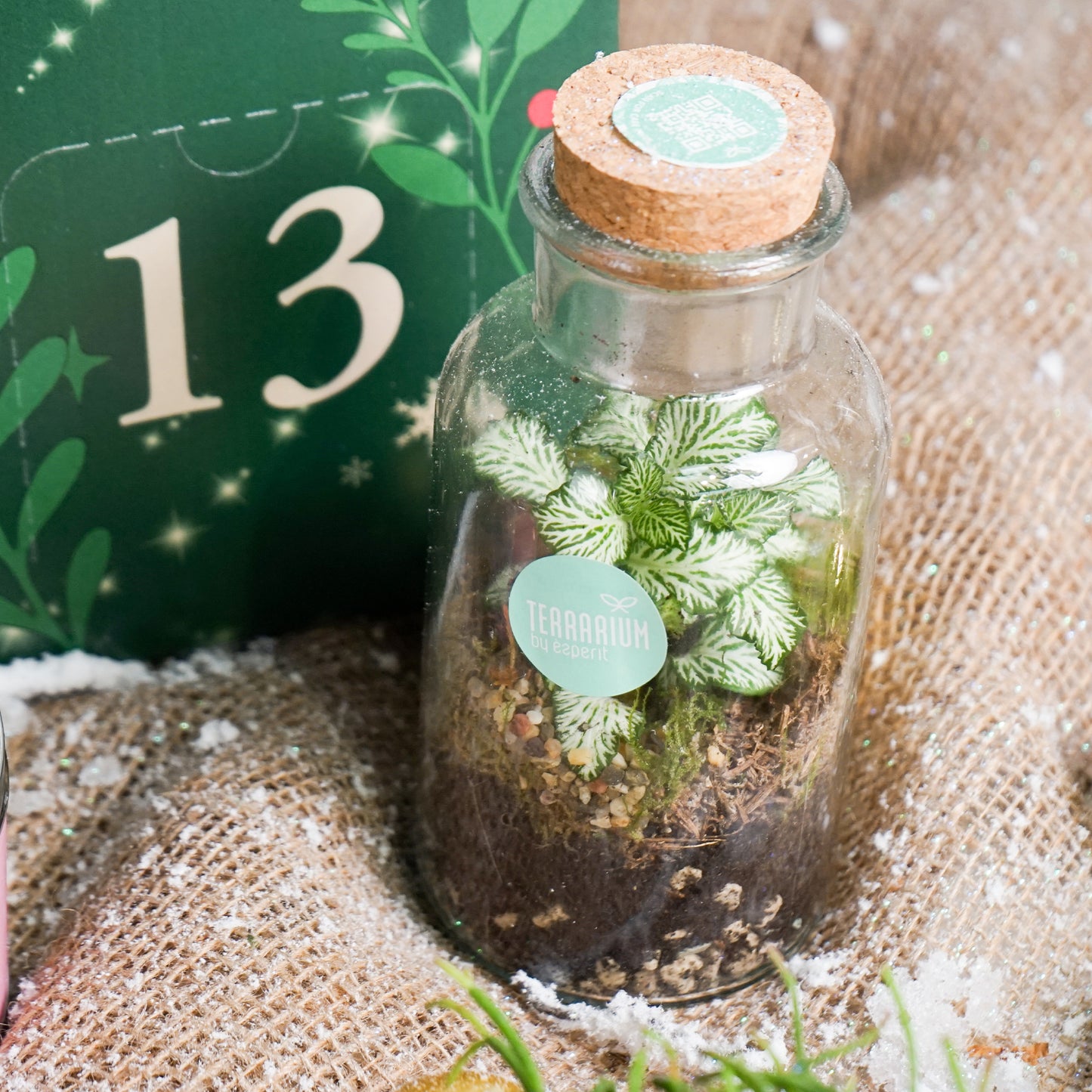Plantvent Calendar