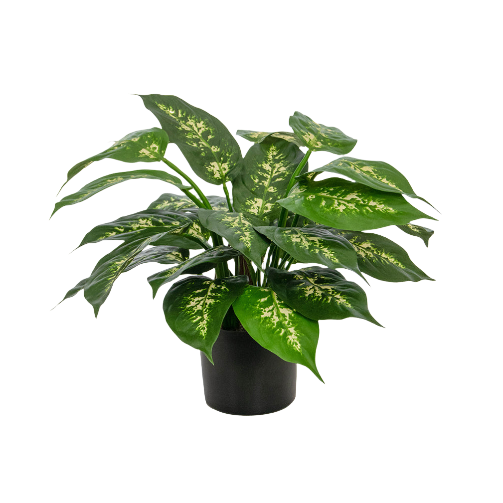 Artificial Dieffenbachia