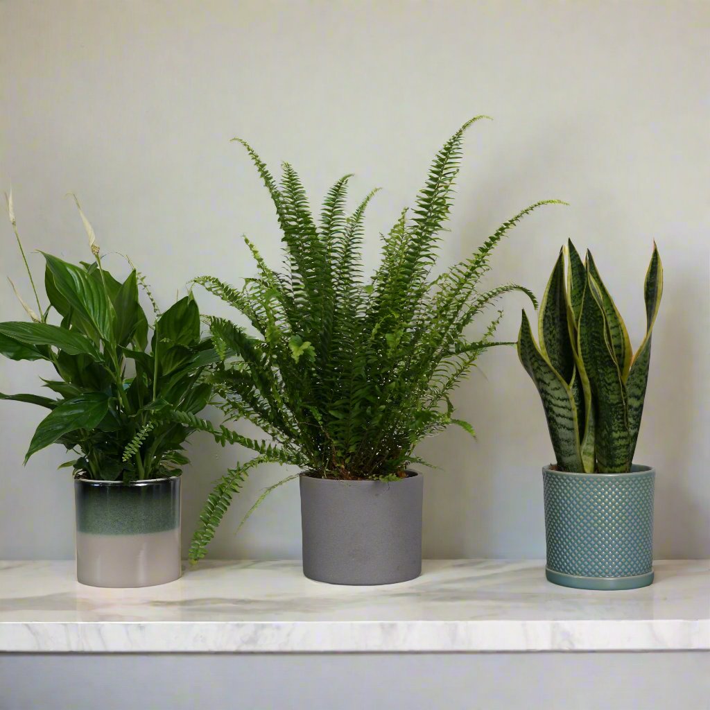Bathroom Bundle Mix