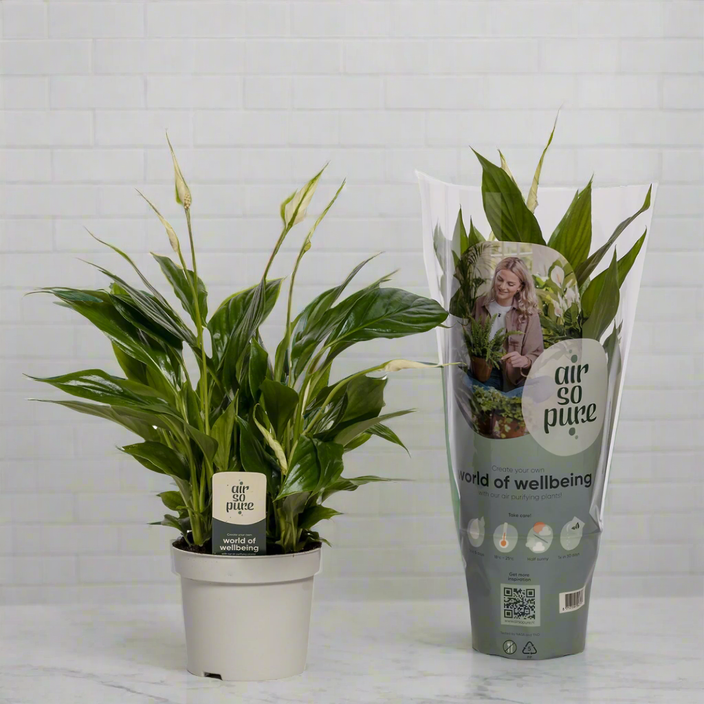 Bathroom Bundle Mix