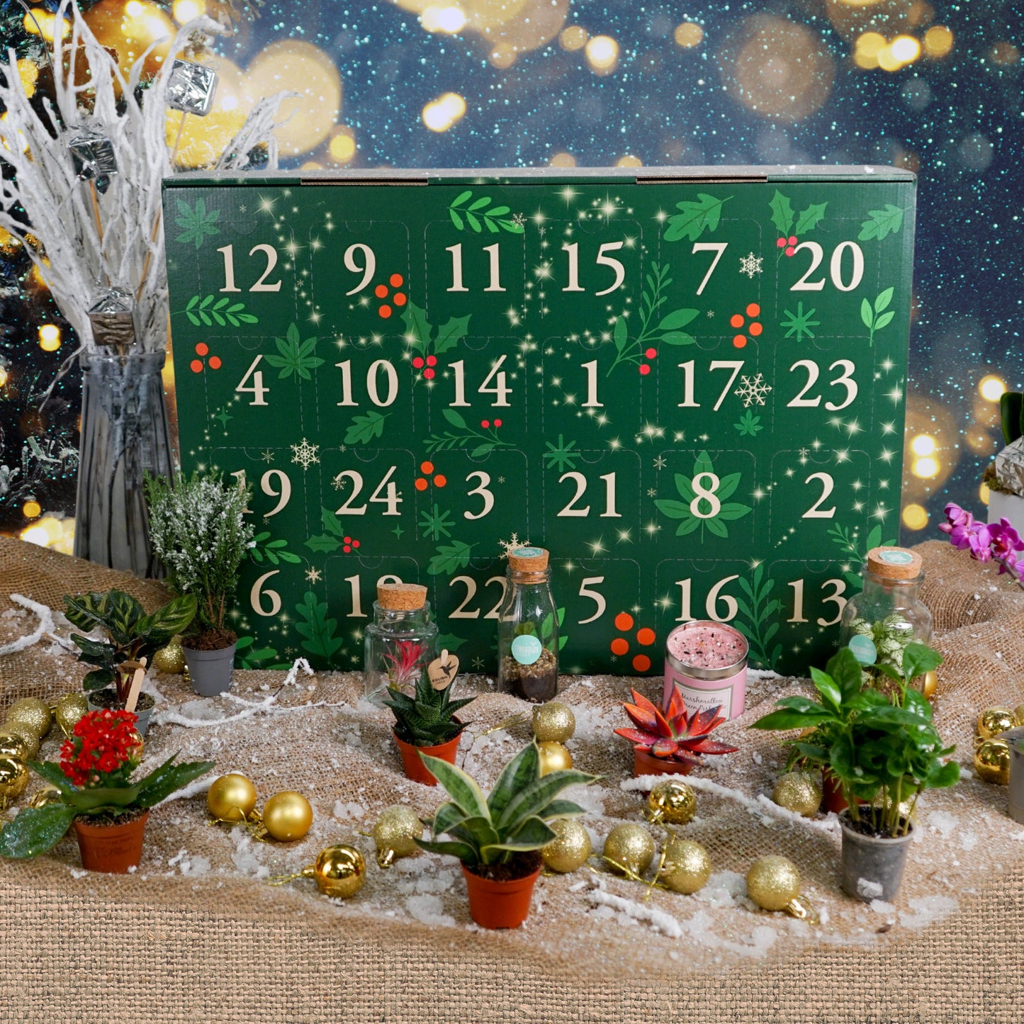 Plantvent Calendar