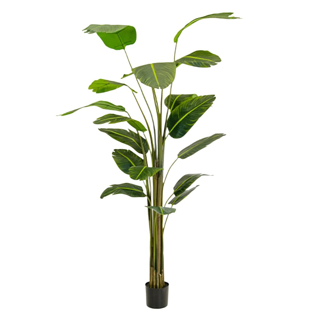 Artificial Bird of Paradise