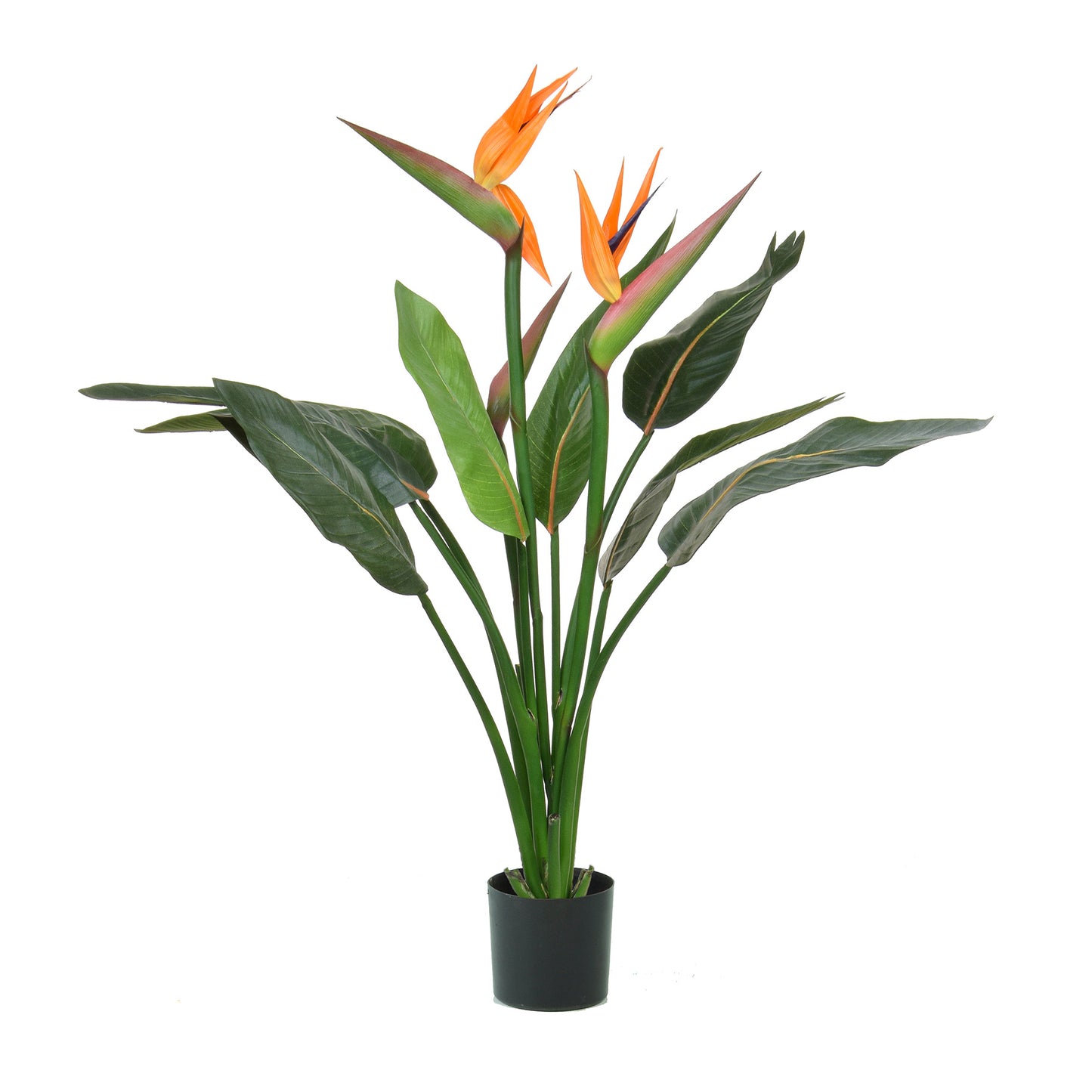 Artificial Flowering Bird of Paradise