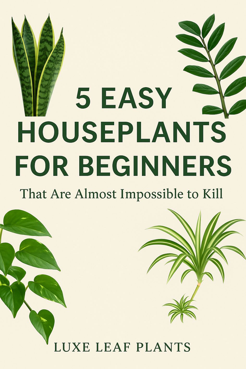 🌿 5 Easy Houseplants for Beginners (That Are Almost Impossible to Kill)