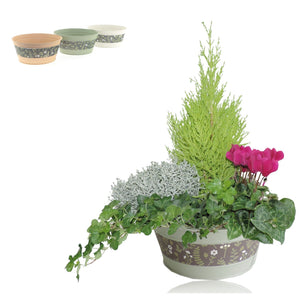 Ornamental Zinc Pot Arrangement – 21cm Pot