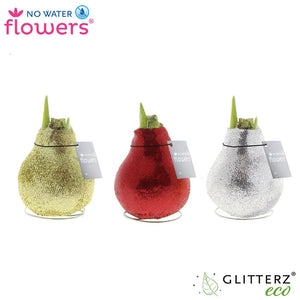Mixed Glitter Waxed Amaryllis Bulb – 2 Stems
