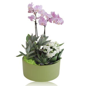Black Stone Ceramic Plant Arrangement – 22cm Pot