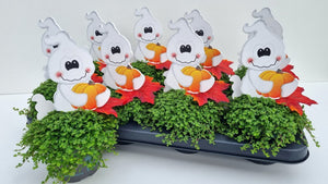Baby's Tears Plant (Soleirolia soleirolii) – 11cm Pot