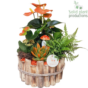 Milano Autumn Orange Plant Arrangement – 23cm Pot