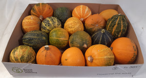 Mixed Ornamental Gourds – Decorative Fruit Arrangement