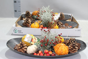 Mixed Sierfruit Arrangement – 50cm Oval Pot