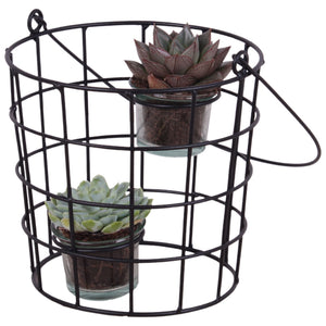 Succulent Arrangement in Metal Wire Basket with Glass – 17cm