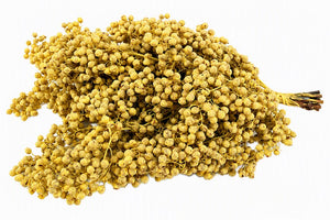 Yellow Schinus Dried Foliage Bunch