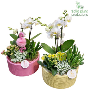 Stella Mixed Flower Arrangement – 22cm Ceramic Pot
