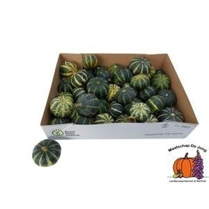 Decorative Striped Ornamental Fruit