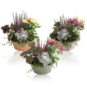 Ornamental Zinc Pot Arrangement – 21cm Pot