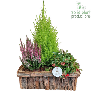 Medium Brown Bark Arrangement – 34cm