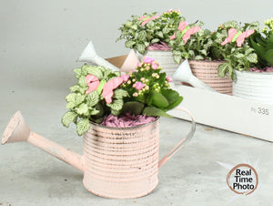 Indoor Watering Can Arrangement – 31cm Zinc Pot