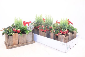 Garden Arrangement in Wooden Pot – 21cm