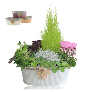 Oval Zinc Plant Arrangement – 30cm