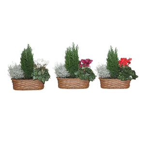 Oval Wicker Basket Arrangement – 30cm