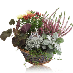 Decorative Wicker Plant Arrangement – 25cm