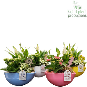 Eyleen Summer Mix Floral Arrangement – 25cm Oval Ceramic Pot