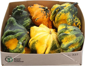 Gizmo Ornamental Fruit Decoration – Pack of 6