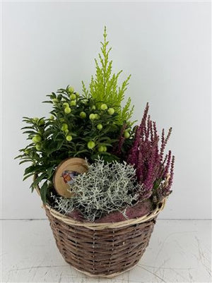 Mixed Colour Floral Arrangement – 3 Stems