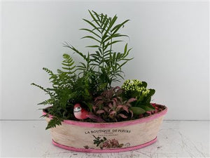 Mixed Colour Flower Arrangement