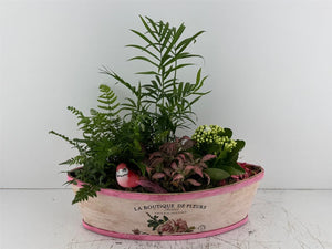 Mixed Colour Flower Arrangement