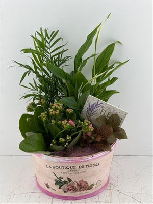 Mixed Colour Floral Arrangement