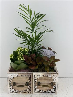 Mixed Colour Arrangement in Wooden Drawer