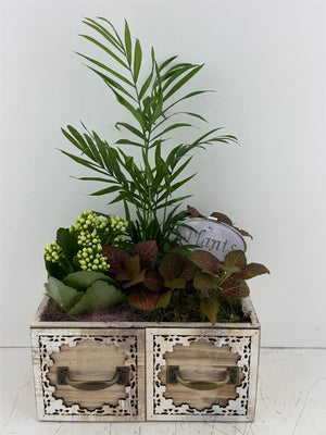 Mixed Colour Arrangement in Wooden Drawer