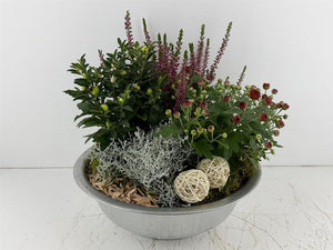 Mixed Plant Arrangement in Extra-Large Zinc Bowl