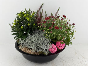 Mixed Plant Arrangement in Black Zinc Bowl
