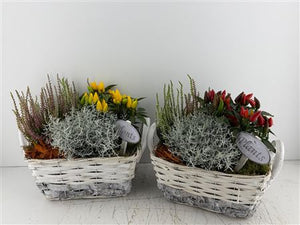 Mixed Colour Floral Arrangement – 4 Stems