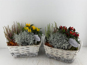 Mixed Colour Floral Arrangement – 4 Stems