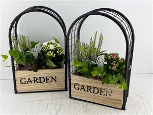 Mixed Colour Garden Arrangement with Iron Frame
