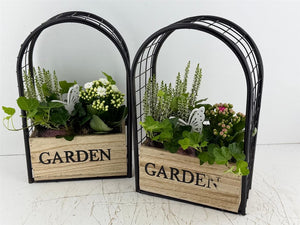 Mixed Colour Garden Arrangement with Iron Frame