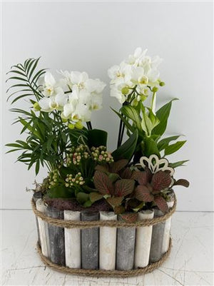 Mixed Colour Arrangement in Grey-White Oval Wooden Pot