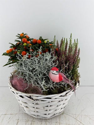 Mixed Colour Floral Arrangement – 3-Piece Display