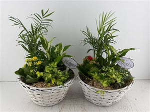 Mixed Colour Floral Arrangement – 3 Stems