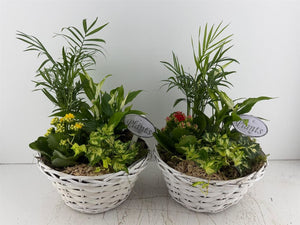 Mixed Colour Floral Arrangement – 3 Stems