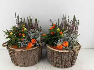 Mixed Colour Wooden Bark Arrangement