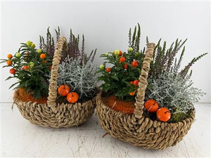 Mixed-Colour Harvest Basket Arrangement