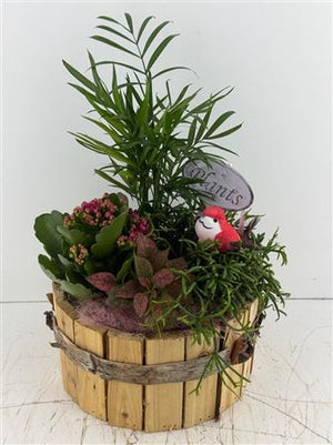 Mixed Colour Round Wooden Arrangement
