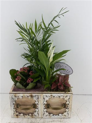 Mixed Colour Floral Arrangement