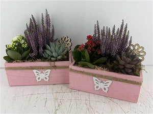 Mixed-Colour Butterfly Flower Arrangement